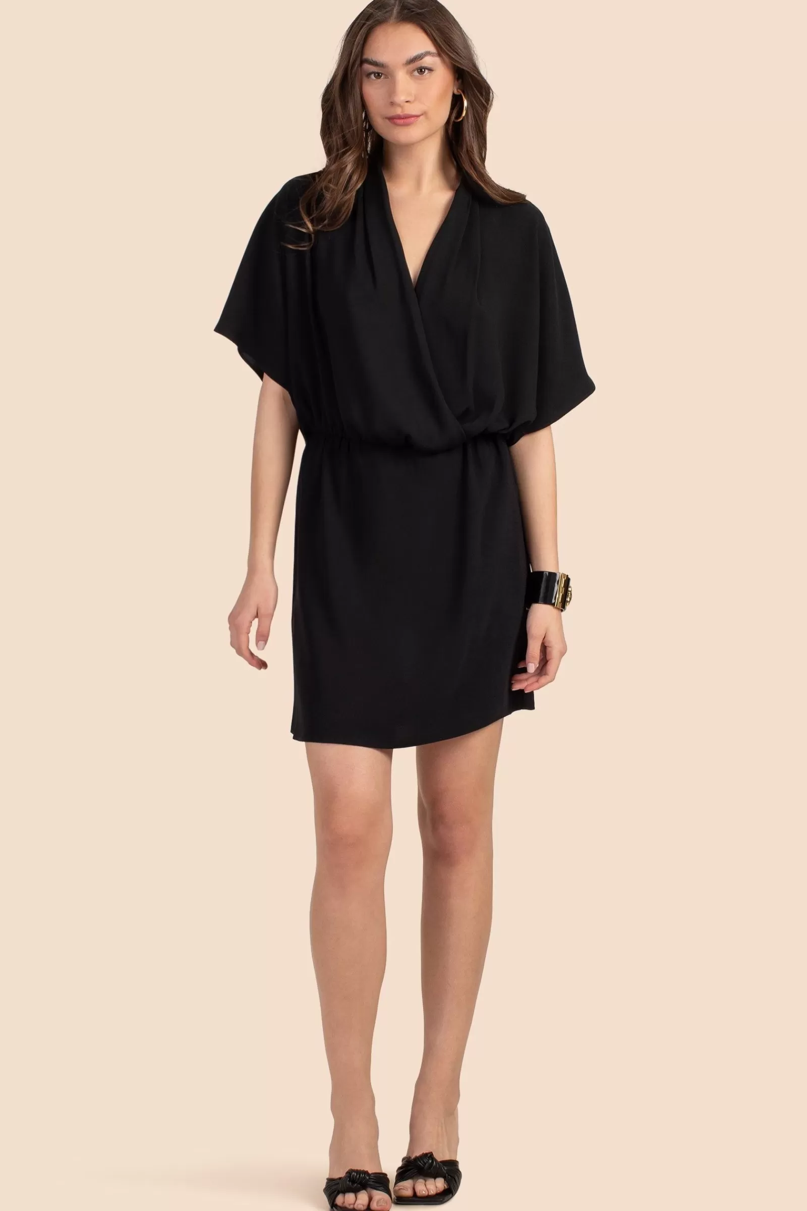 Women Trina Turk Concourse Dress