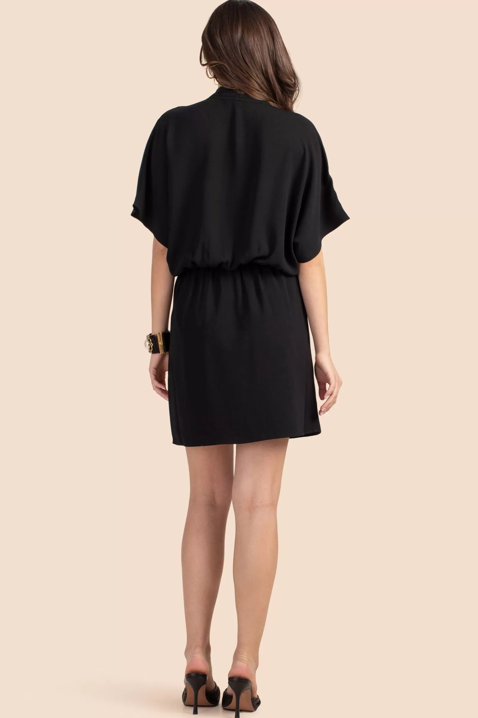 Women Trina Turk Concourse Dress