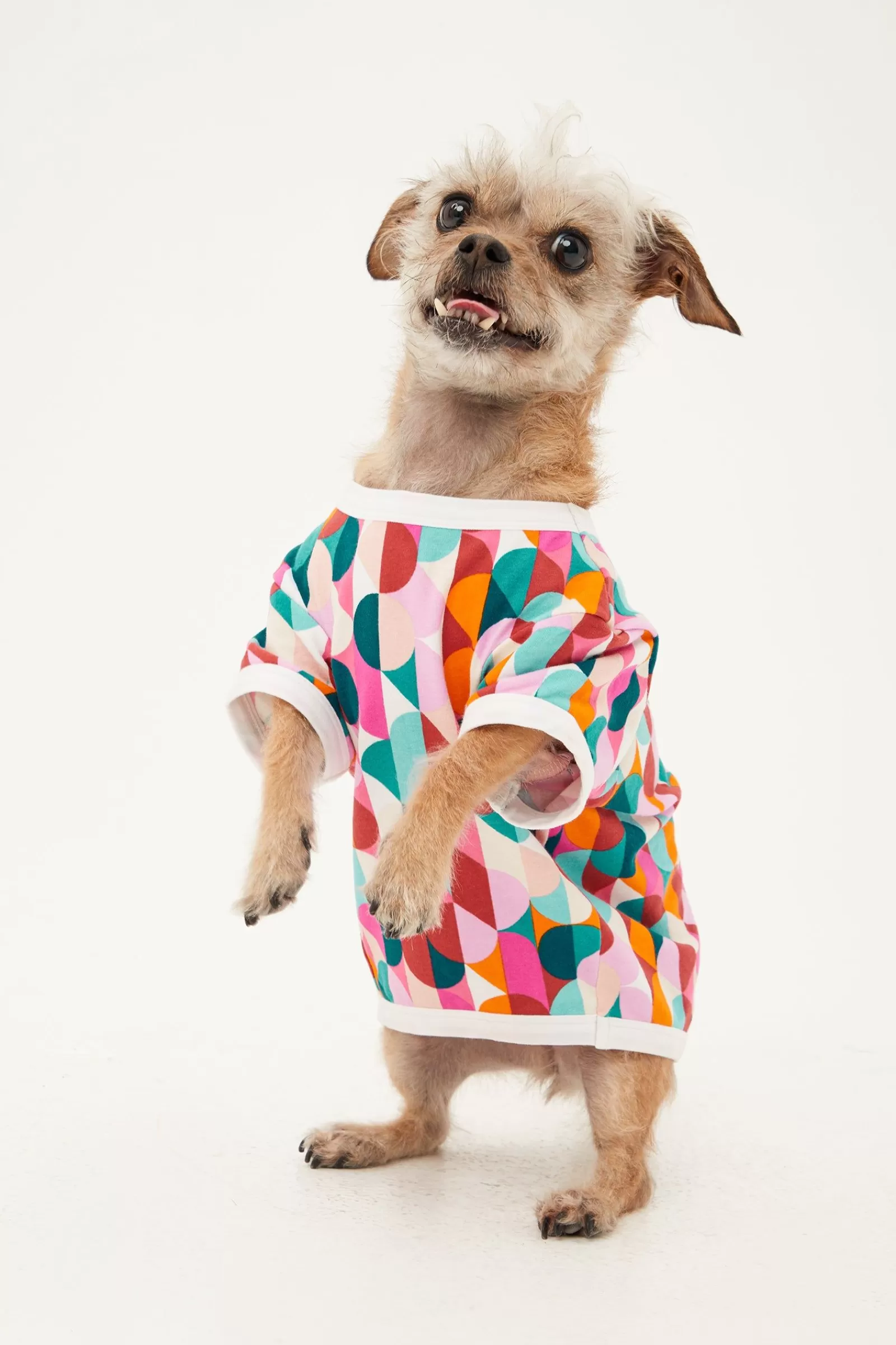 Men Trina Turk Dancing Dots Jersey Pet Pajama Shirt