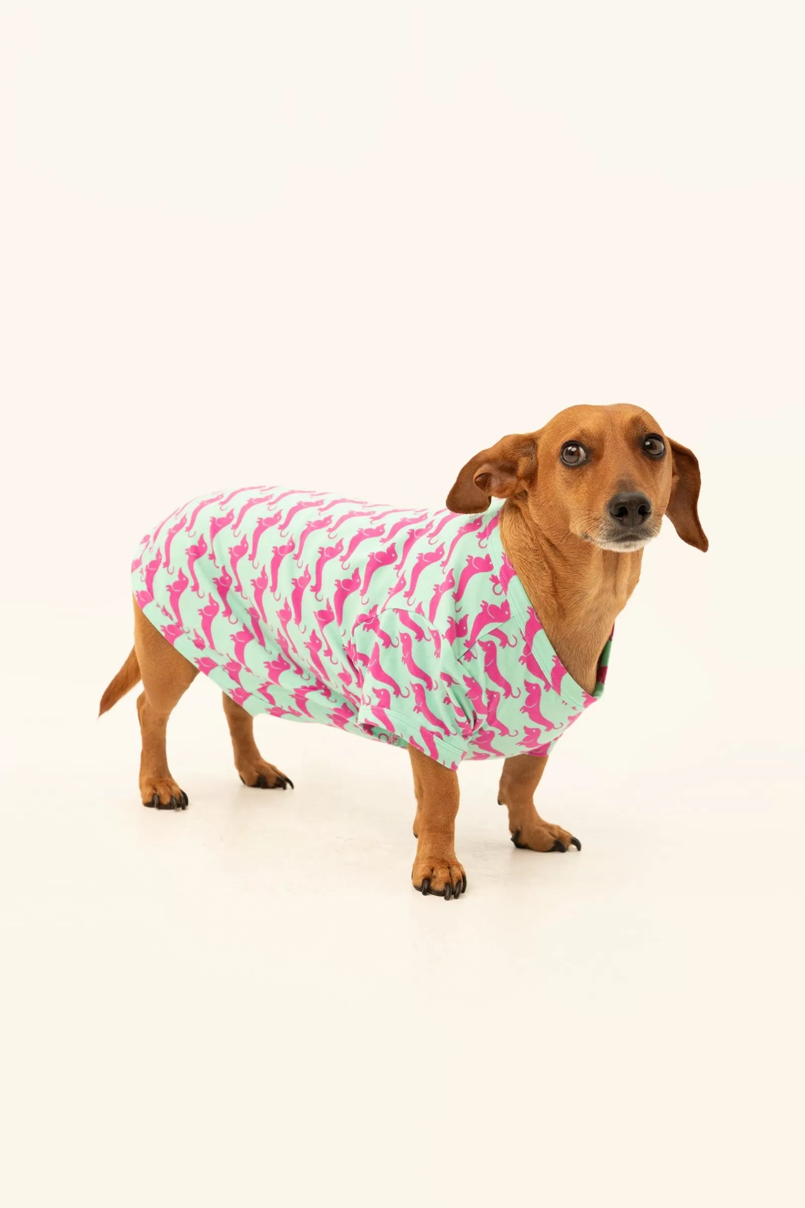 Trina Turk Dog Walk Jersey Pet Pajama Shirt