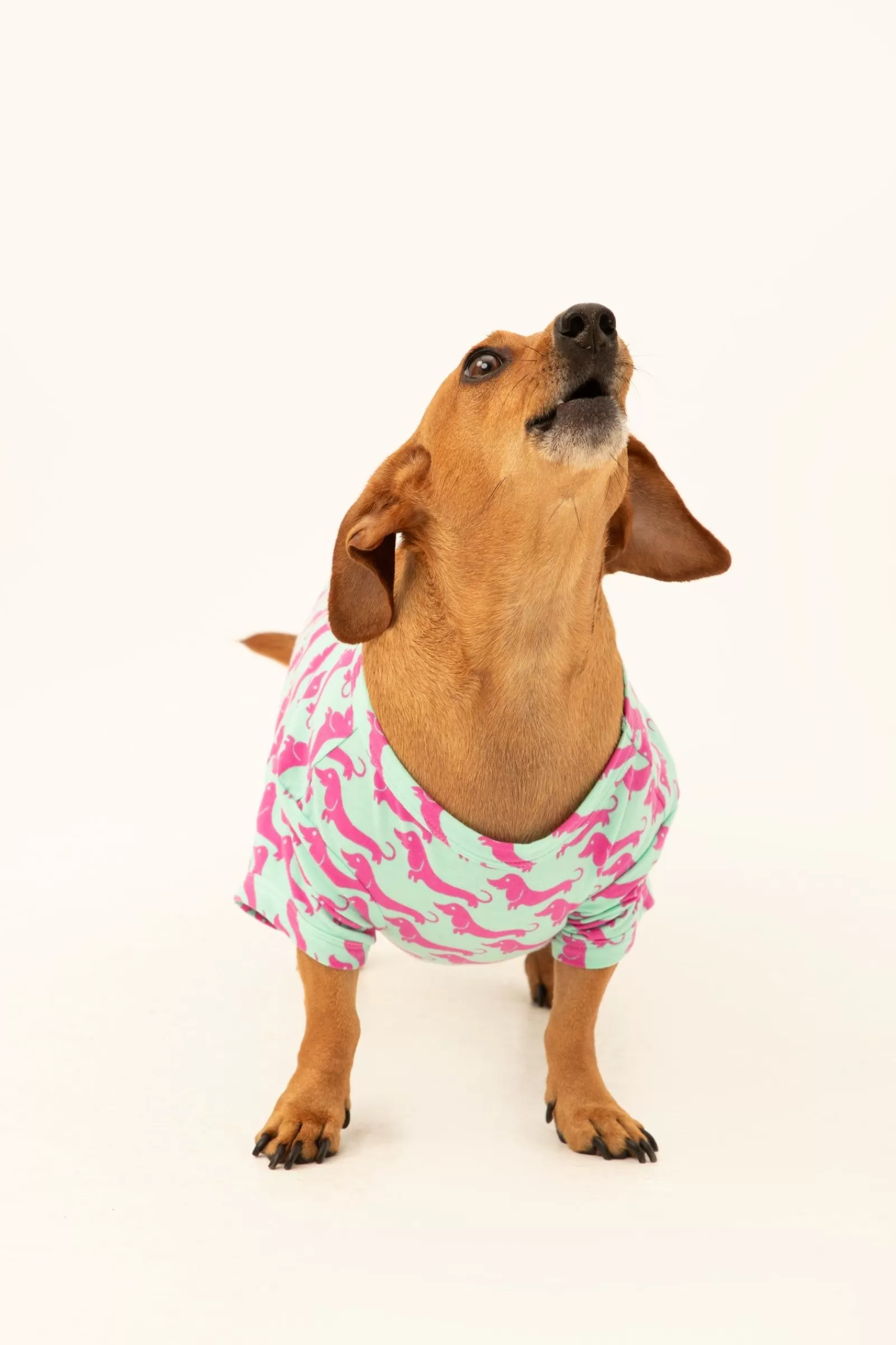 Trina Turk Dog Walk Jersey Pet Pajama Shirt