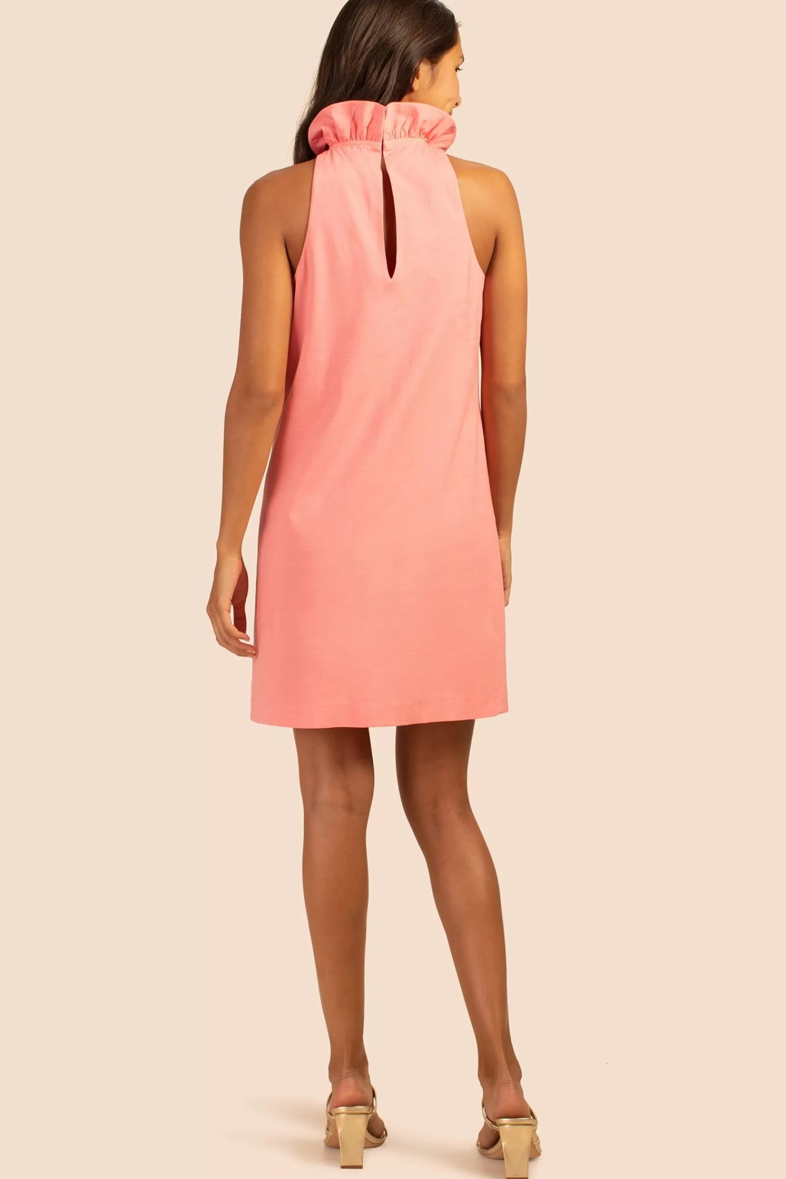 Women Trina Turk Peach Dress