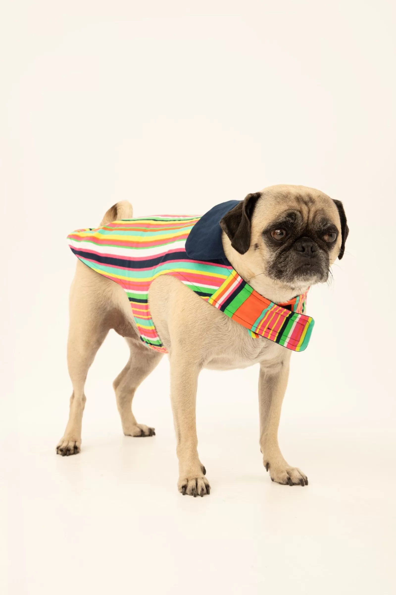 Trina Turk Stripe Lined Pet Pajama