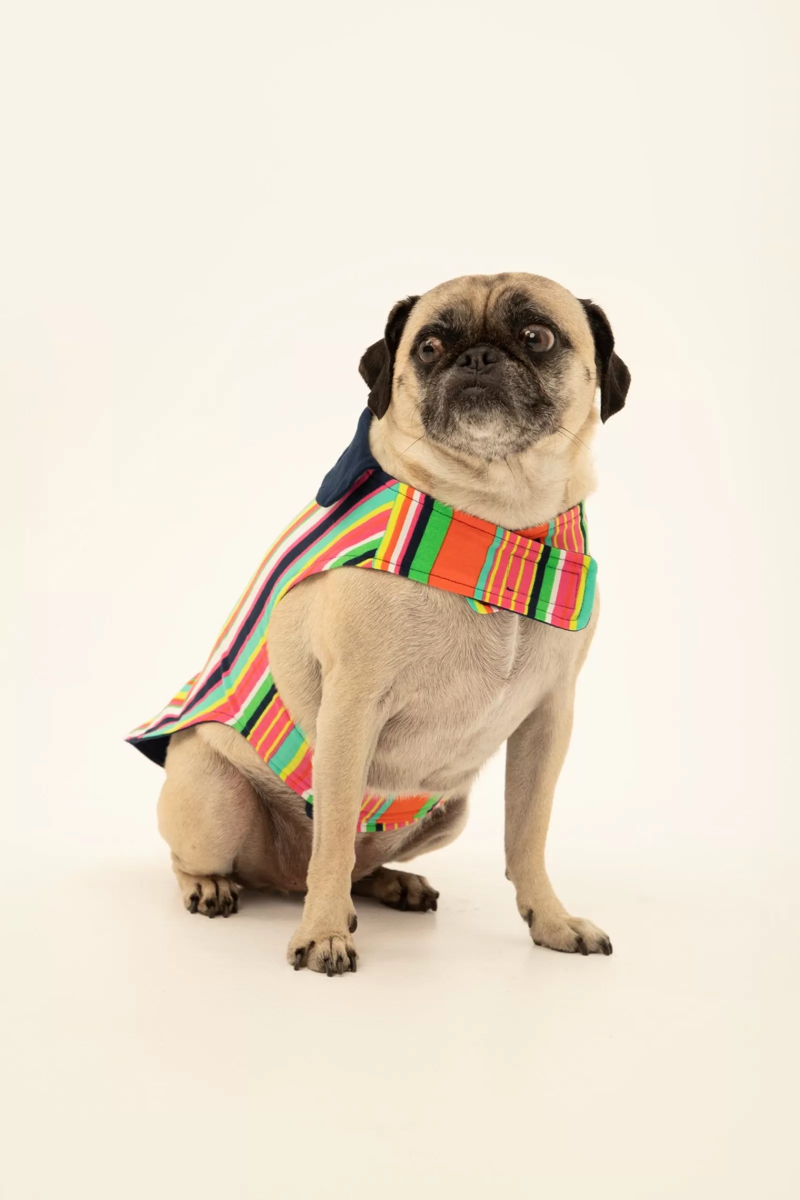 Trina Turk Stripe Lined Pet Pajama